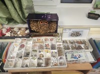 �����������