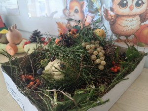 �����������