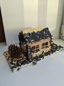 �����������