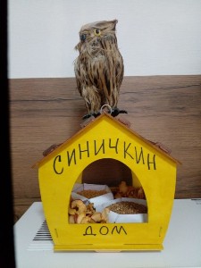 �����������